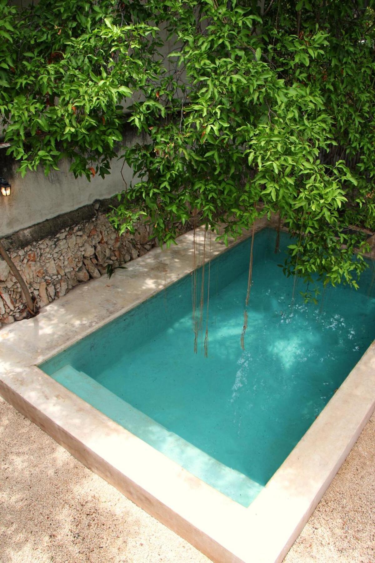 Oasis With Natural Pool In The Heart Of
