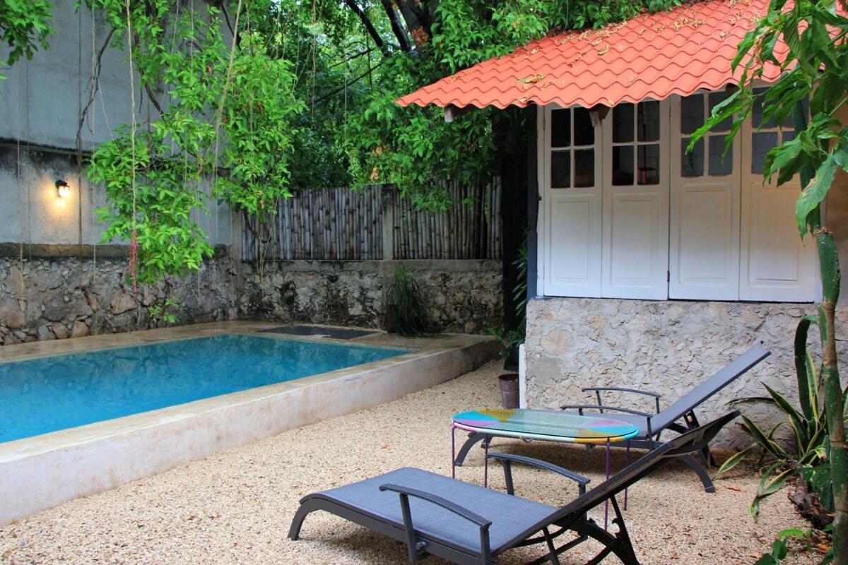 Oasis With Natural Pool In The Heart Of Mérida