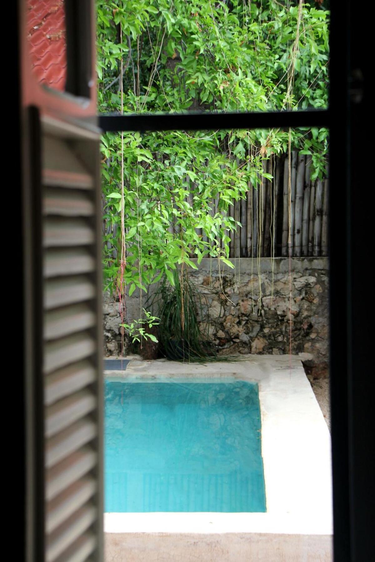 Oasis With Natural Pool In The Heart Of Mérida