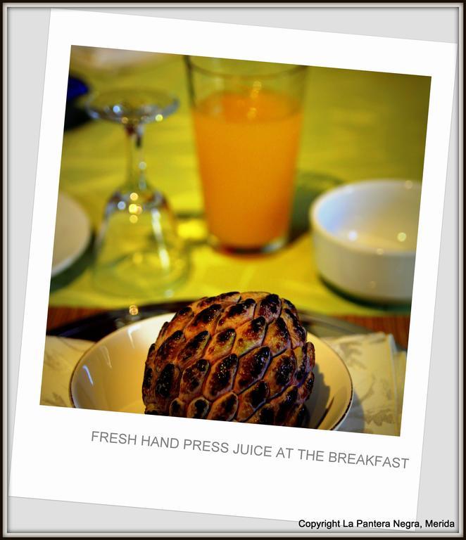 Bed & Breakfast La Pantera Negra