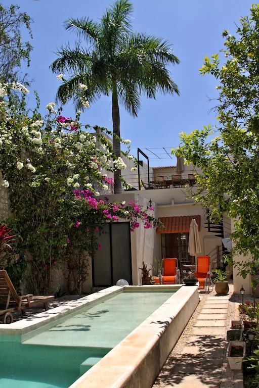 Bed & Breakfast La Pantera Negra 3*