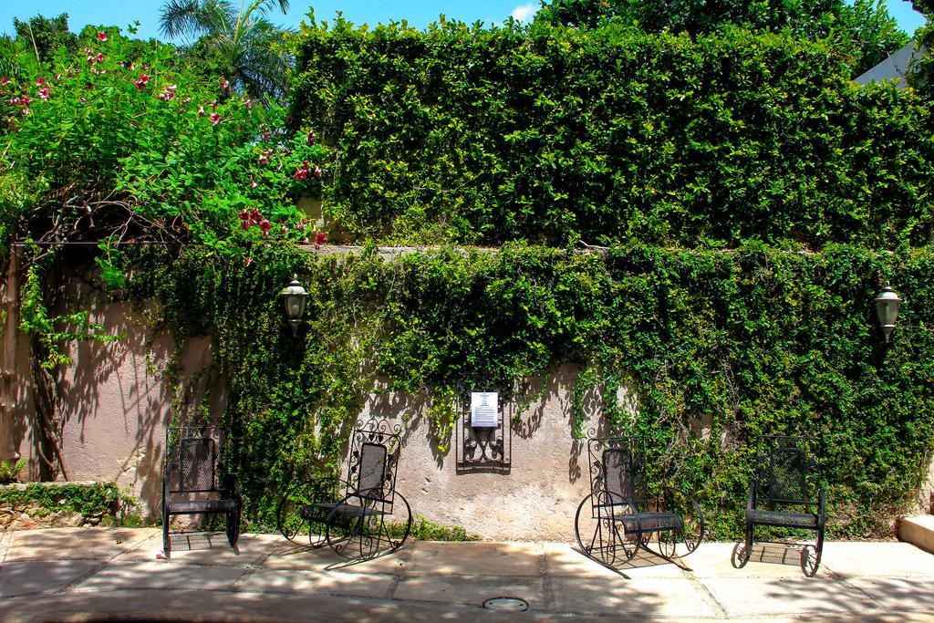 Hotel Zamna 3*