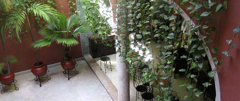 Hotel Reforma