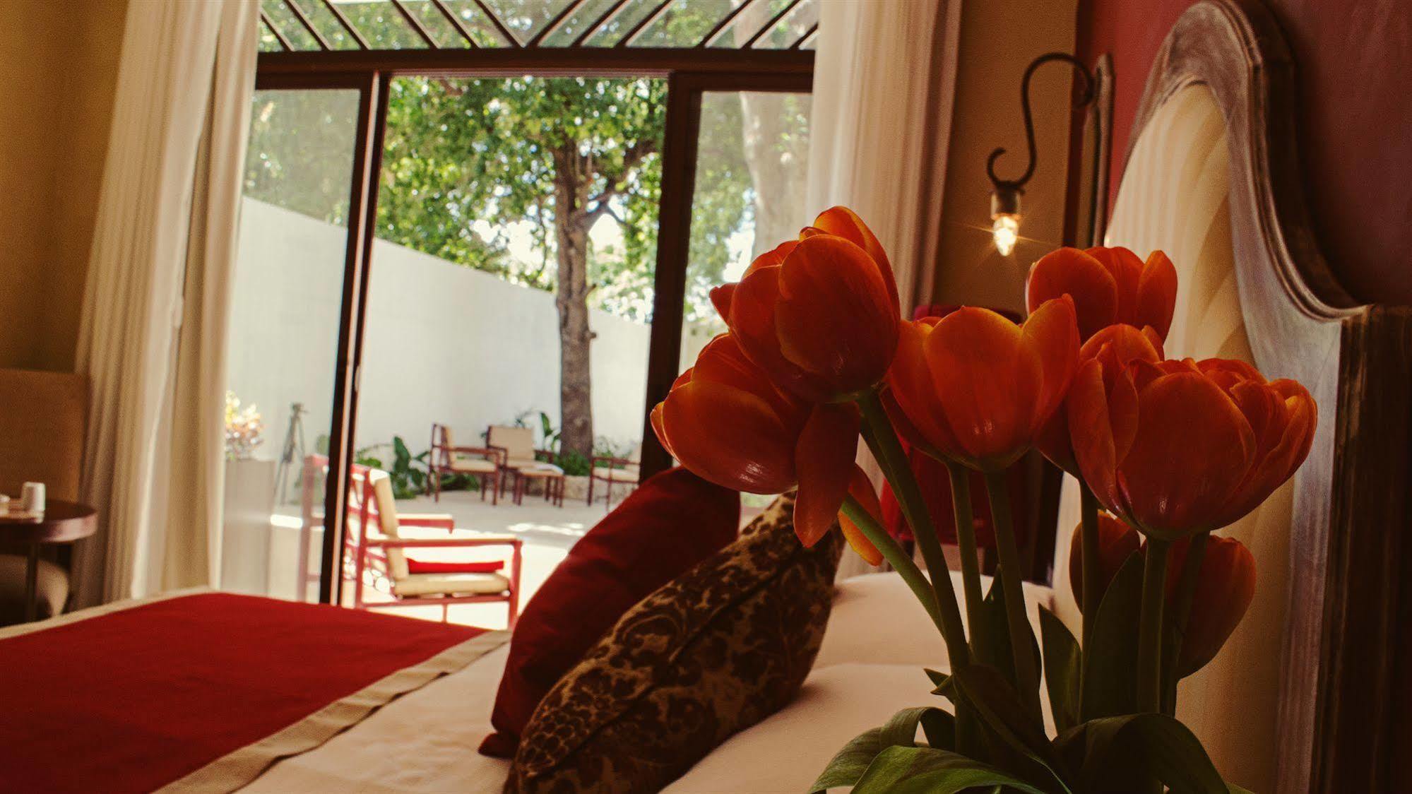 Hotel Casa Italia Luxury - Adults Only 5*