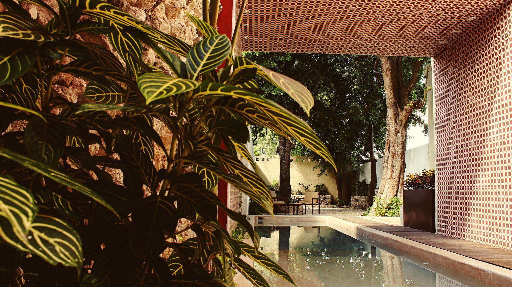 Casa Italia Luxury - Adults Only Mérida