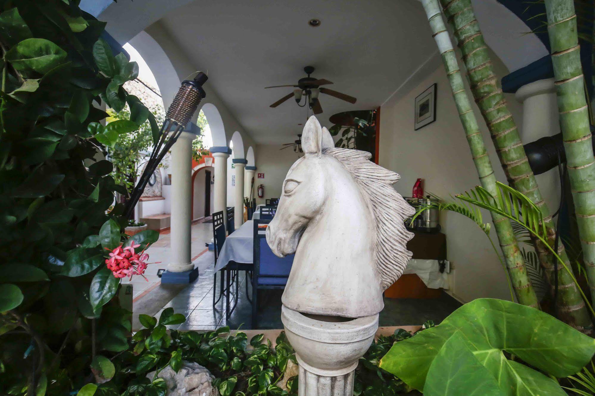 Zamna Hotel Merida