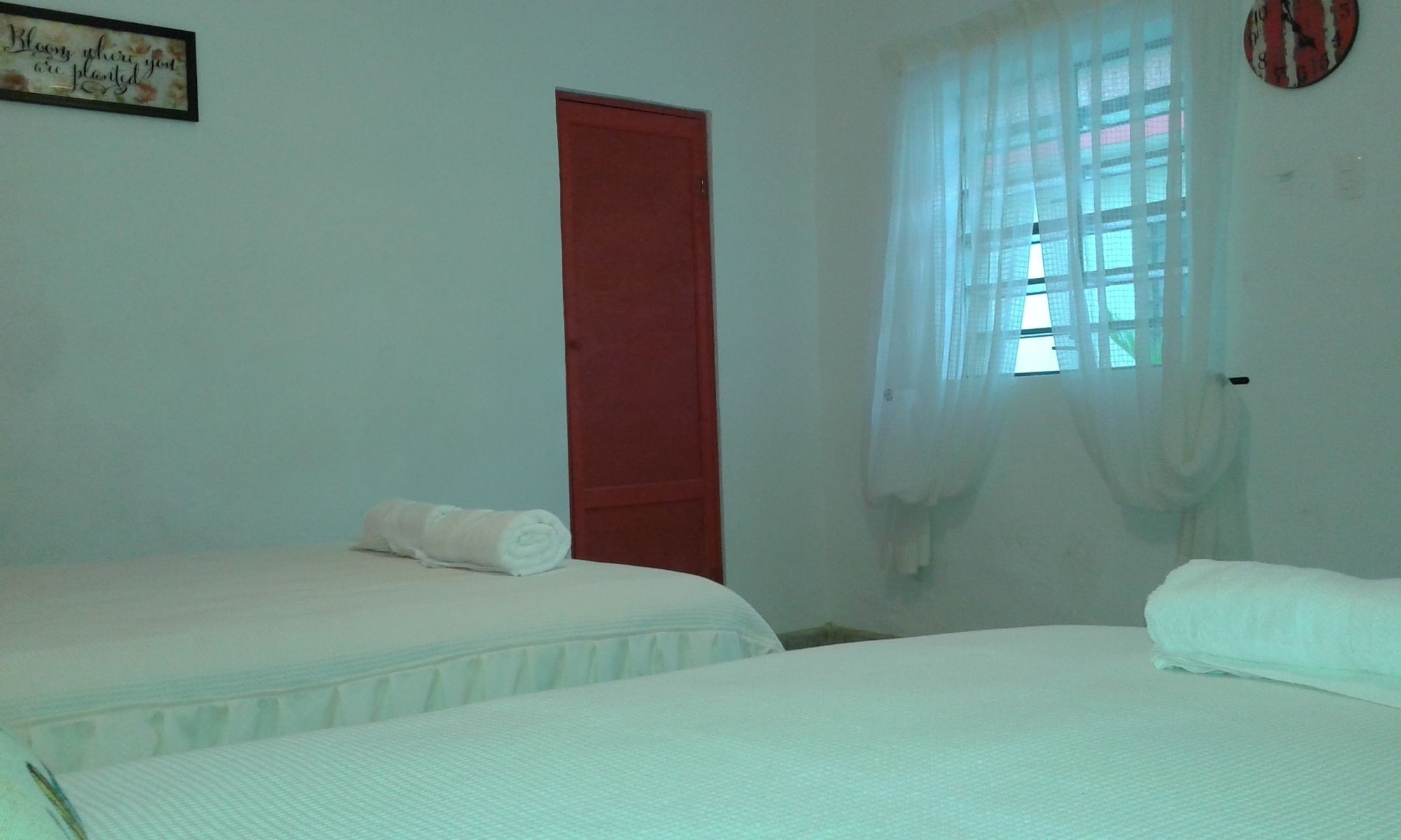 El Tigre De Santiago Hostal Mérida