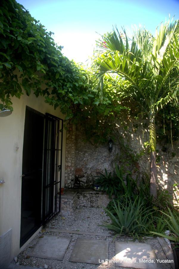 Bed & Breakfast La Pantera Negra Merida