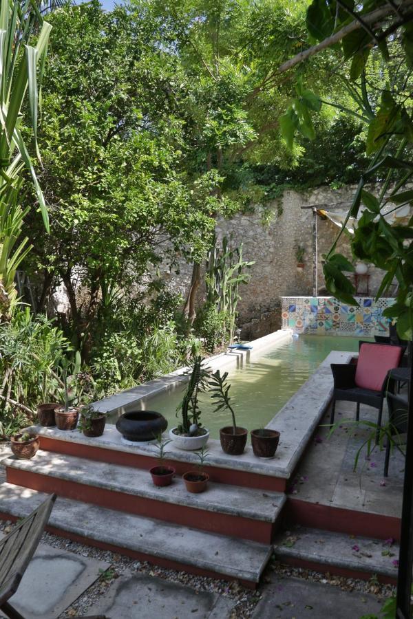 Bed & Breakfast La Pantera Negra