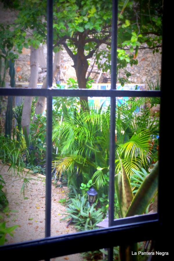 La Pantera Negra Bed & Breakfast Merida
