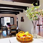 Villa Bugambilia Colonial Charm With Spacious Design And Private Pool Five Minutes From Downtown
