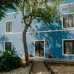 Nido Colibri - Private Rooms And Hostel Dorms In Remate De Paseo Montejo