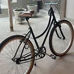Grand Loft Mid 498