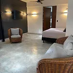 Grand Loft Mid 498