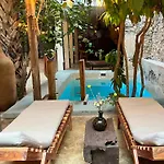Japoneza Retreat - Merida Centro