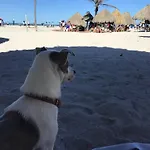 Mar Y Luna
