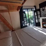 Nido Colibri - Private Rooms And Hostel Dorms In Remate De Paseo Montejo