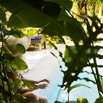 Hotel Santa Ana