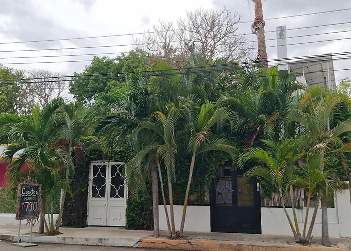 Hotel Downtown Merida