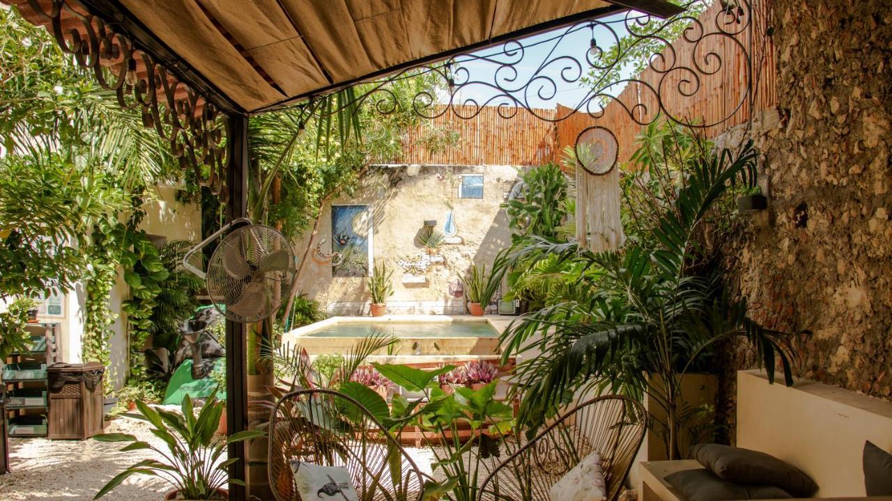 Kuka Y Naranjo Bed and breakfast Mérida