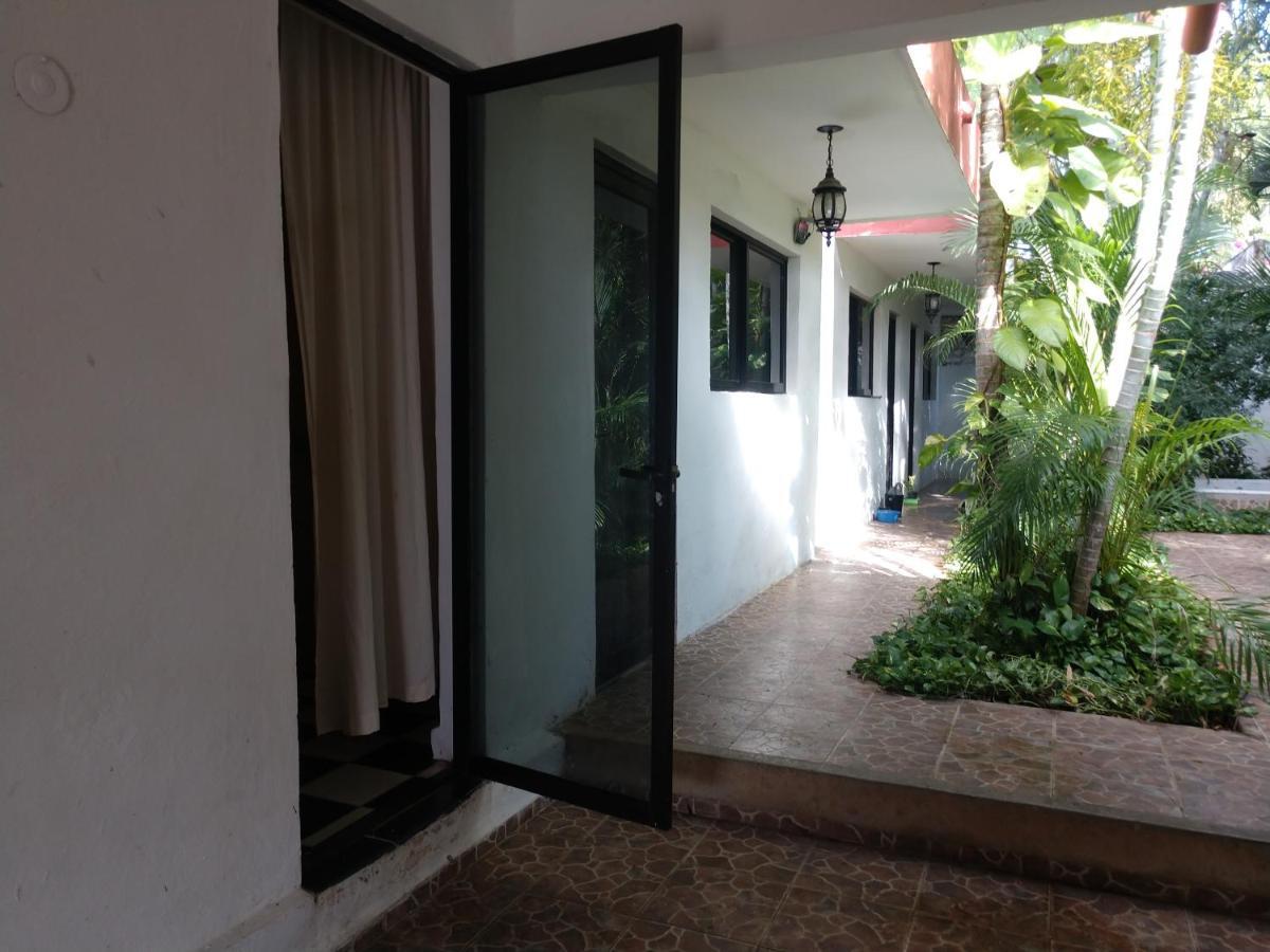 Apartment Punto Checo *