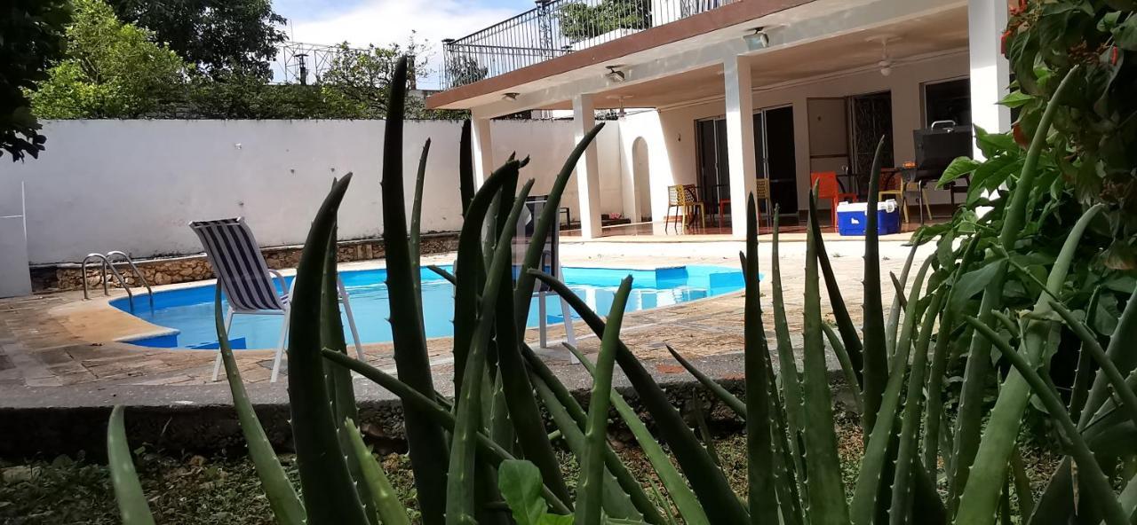 Jardín * Mérida