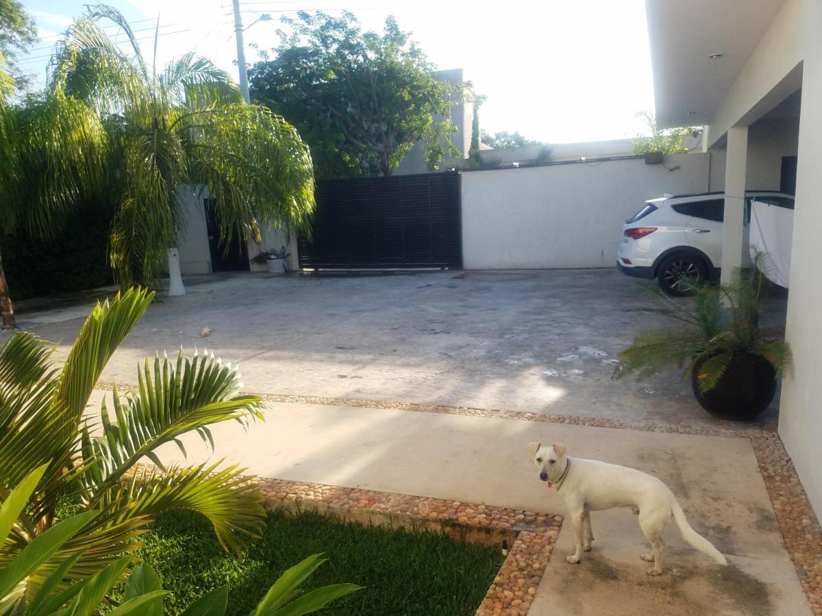 Hotel Casa Xcanatun