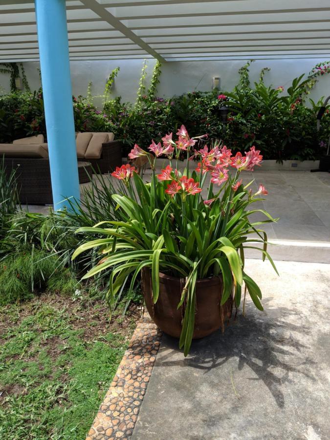 Casa Xcanatun * Mérida