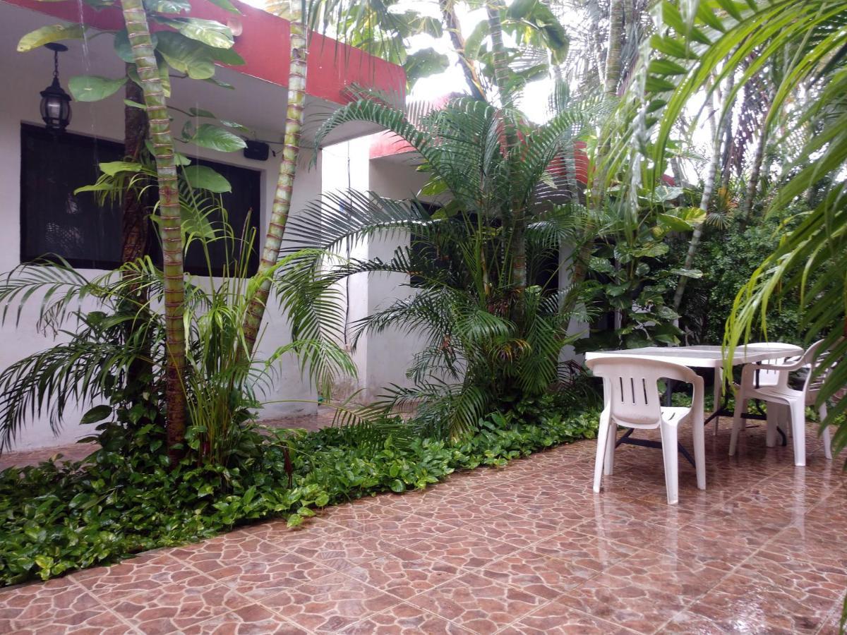 Punto Checo Apartment *