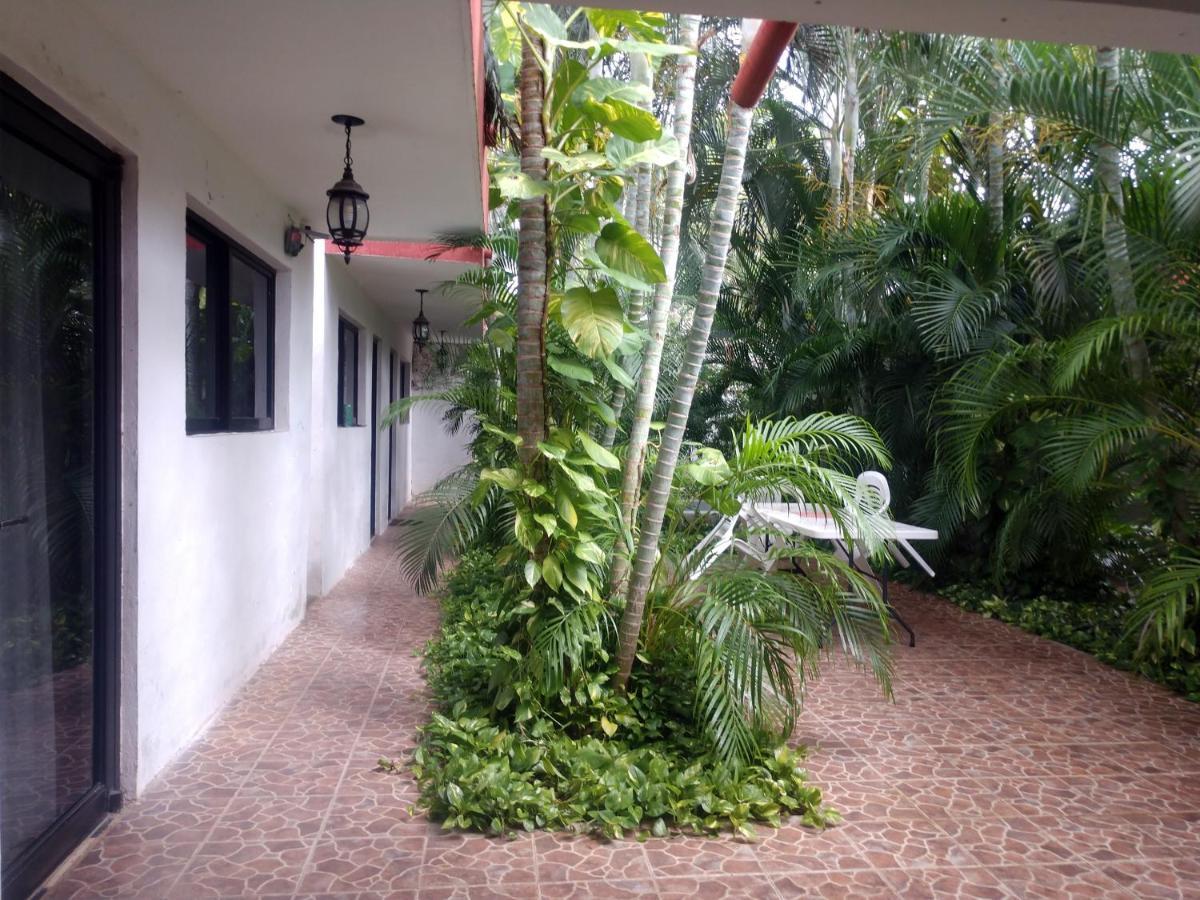 Apartment Punto Checo *