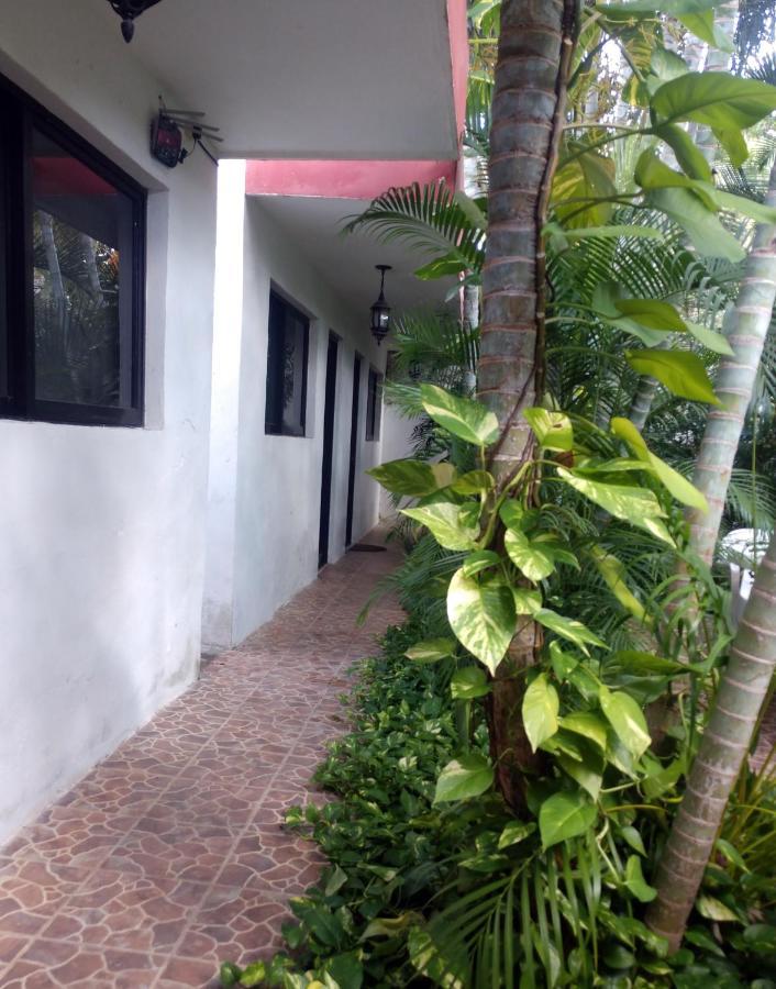 Punto Checo Apartment Merida