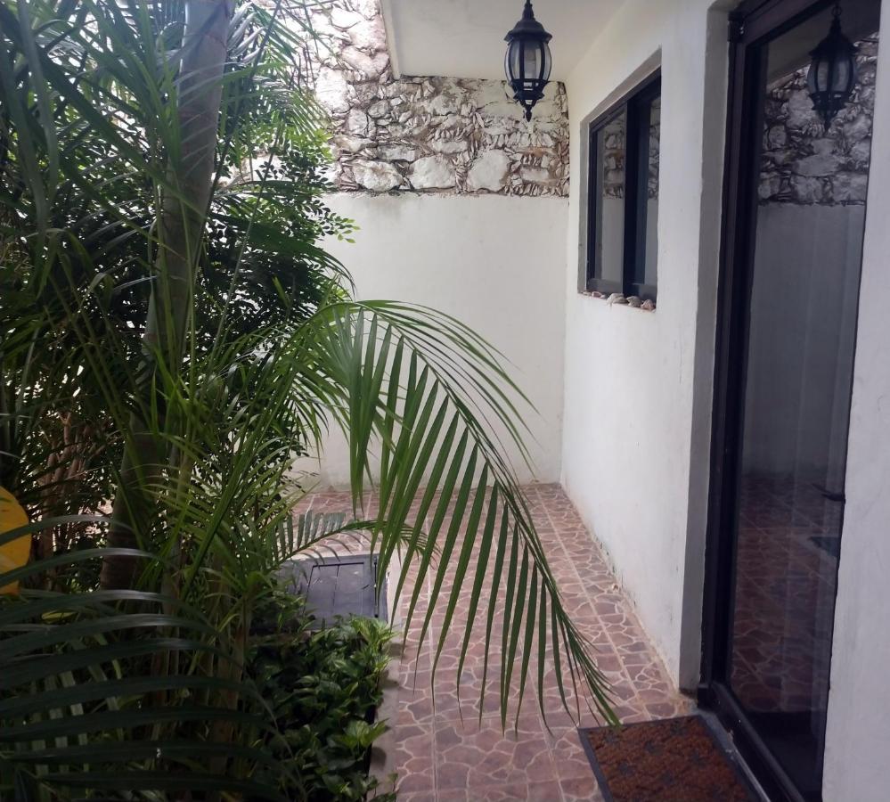 Apartment Punto Checo