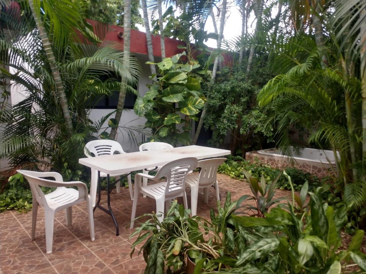 Apartment Punto Checo