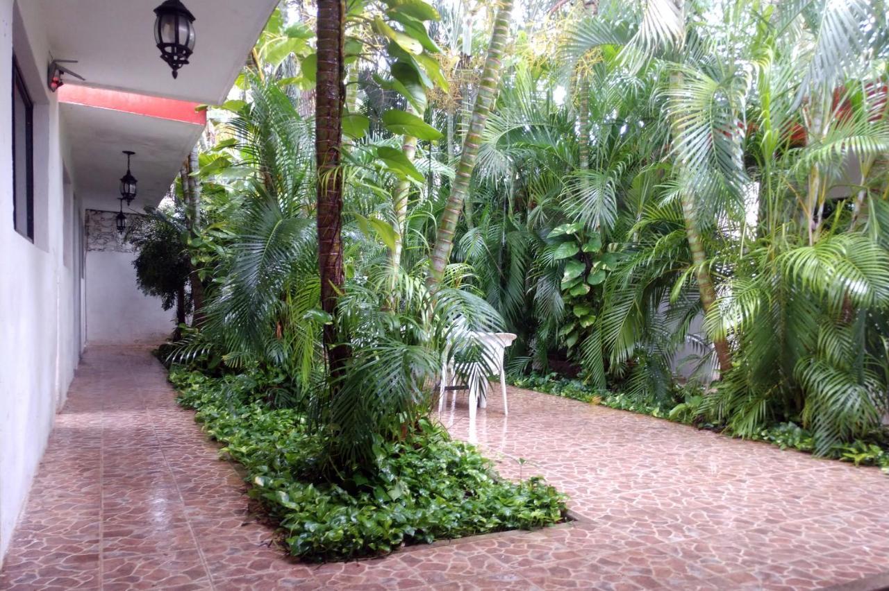 Apartment Punto Checo
