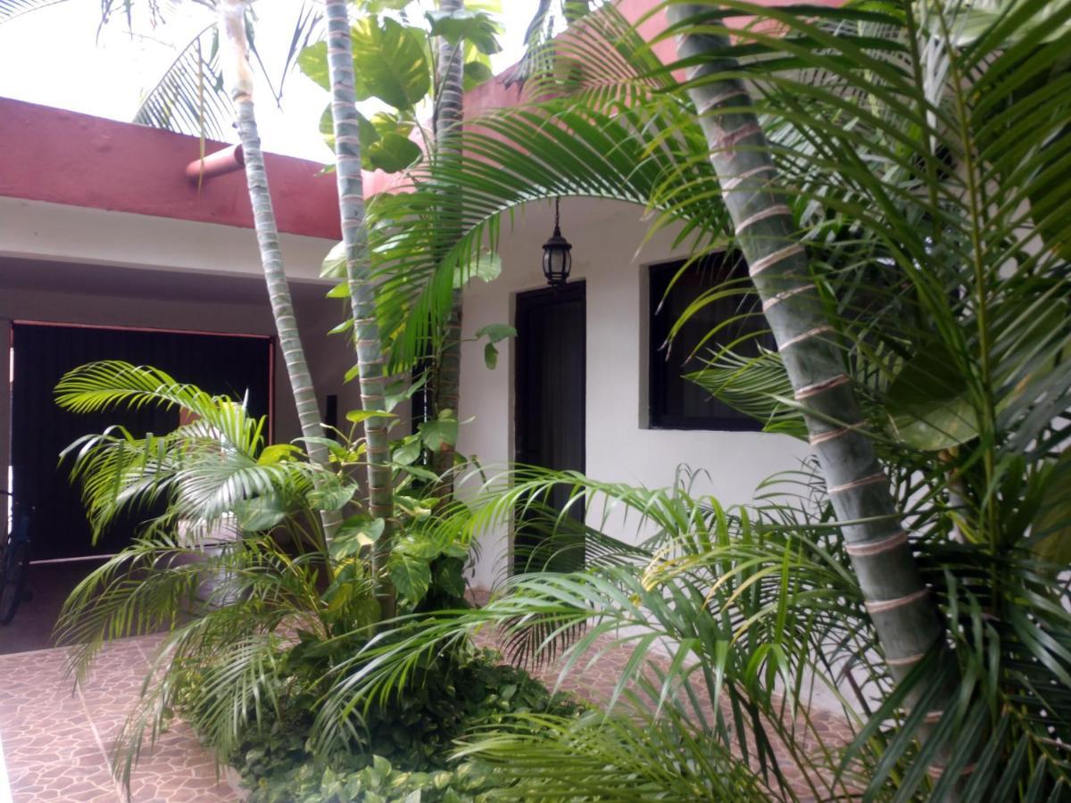 Punto Checo Apartment Merida