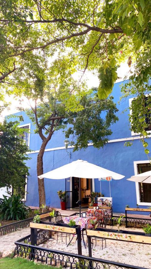 Luna Nueva Hotel-boutique Hostal