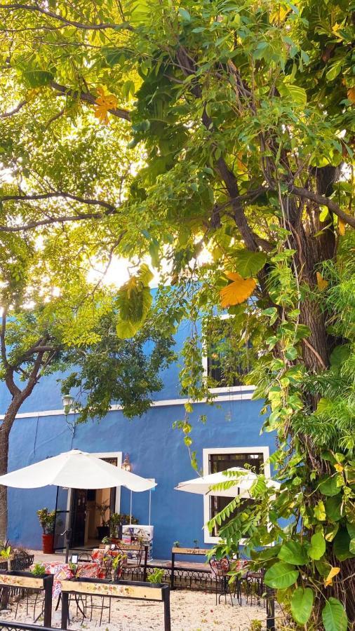 Hostal Luna Nueva Hotel-boutique *