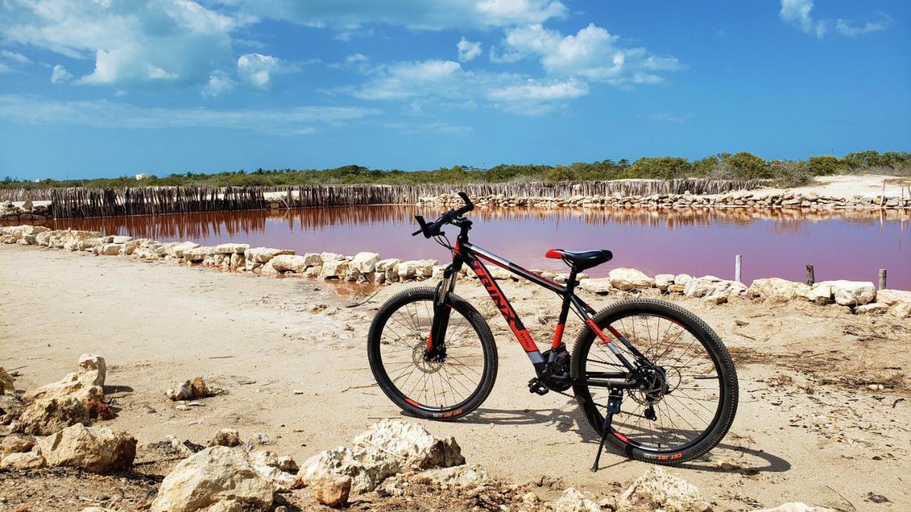 Reef Yucatan & Convention Center 3*
