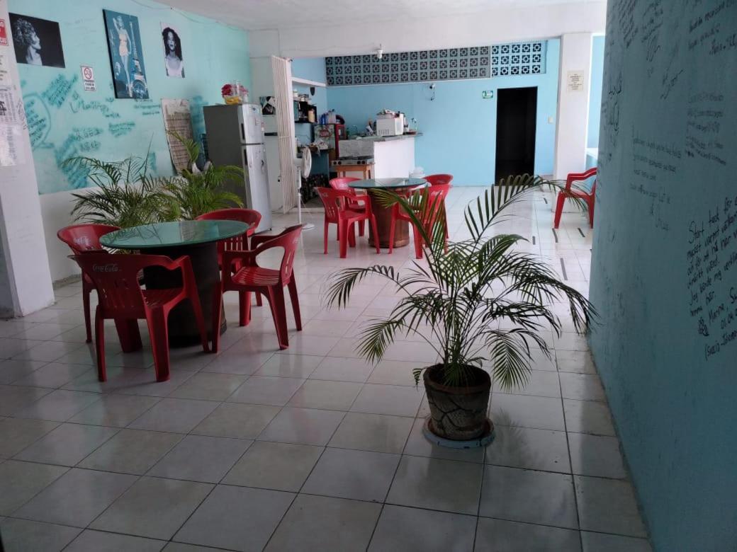 Casa Lidia 2* Mérida