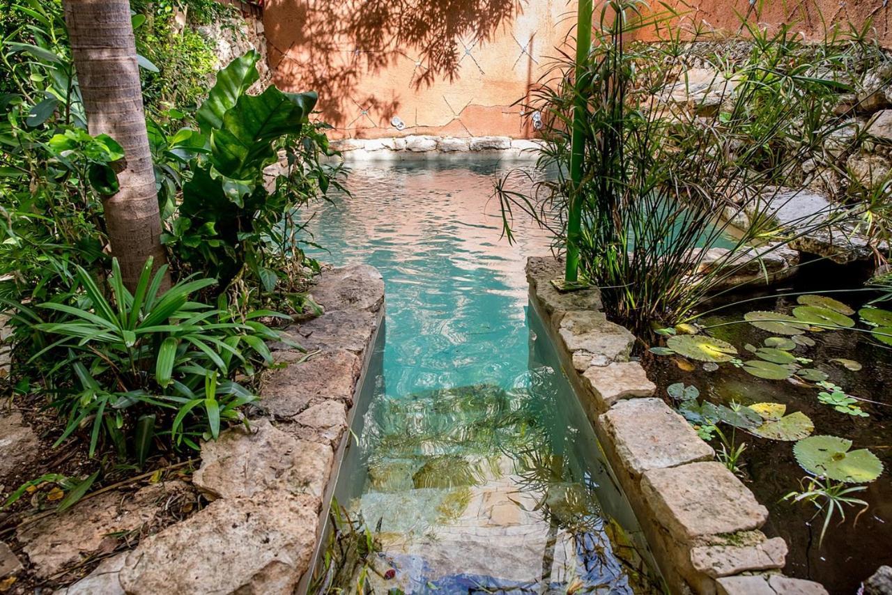 La Selva By Majikal Apartment