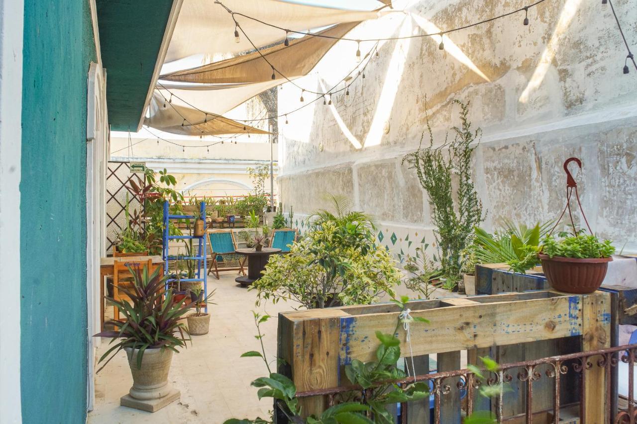 Casa Jade - Downtown (adults Only) 2* Mérida