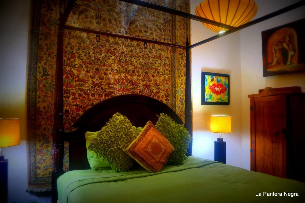 Bed and breakfast La Pantera Negra
