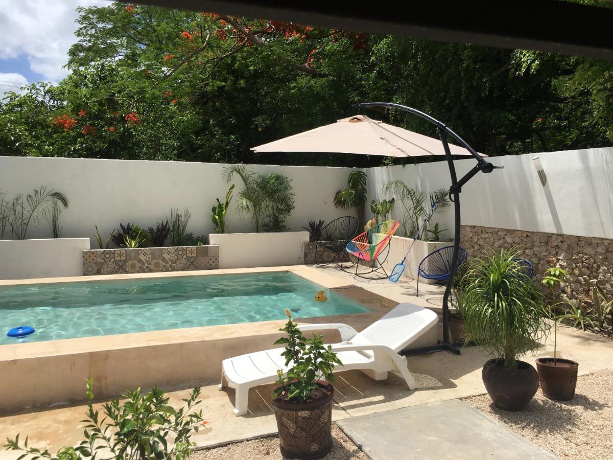 Estudio En “casa Livia” Con Piscina Y Jardín. Apartamento Mérida