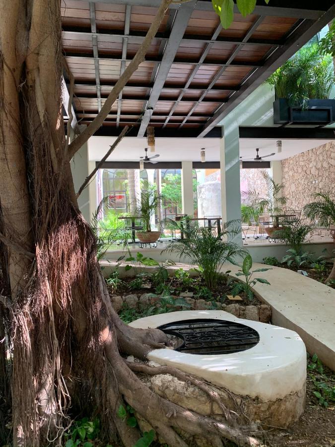 Hotel Treehouse Boutique Hotel, An Adults Only Boutique