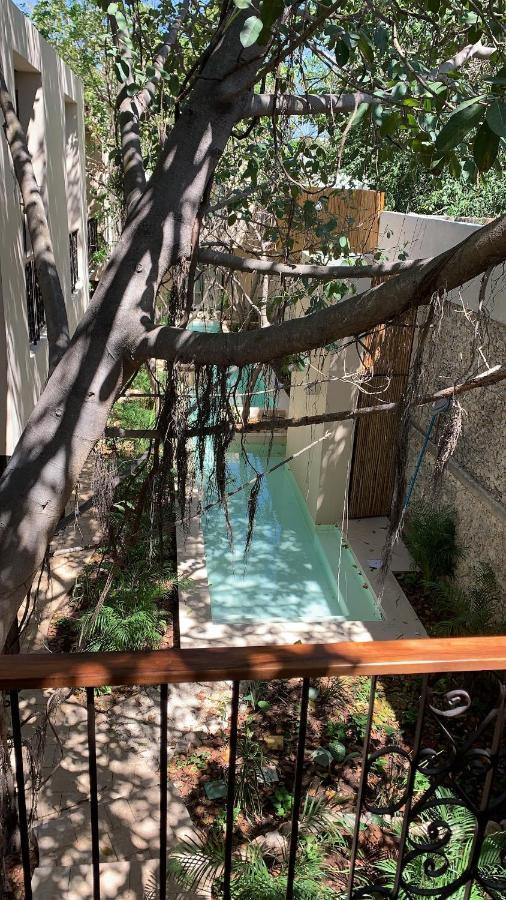 Treehouse Boutique Hotel, An Adults Only Boutique Hotel Mérida