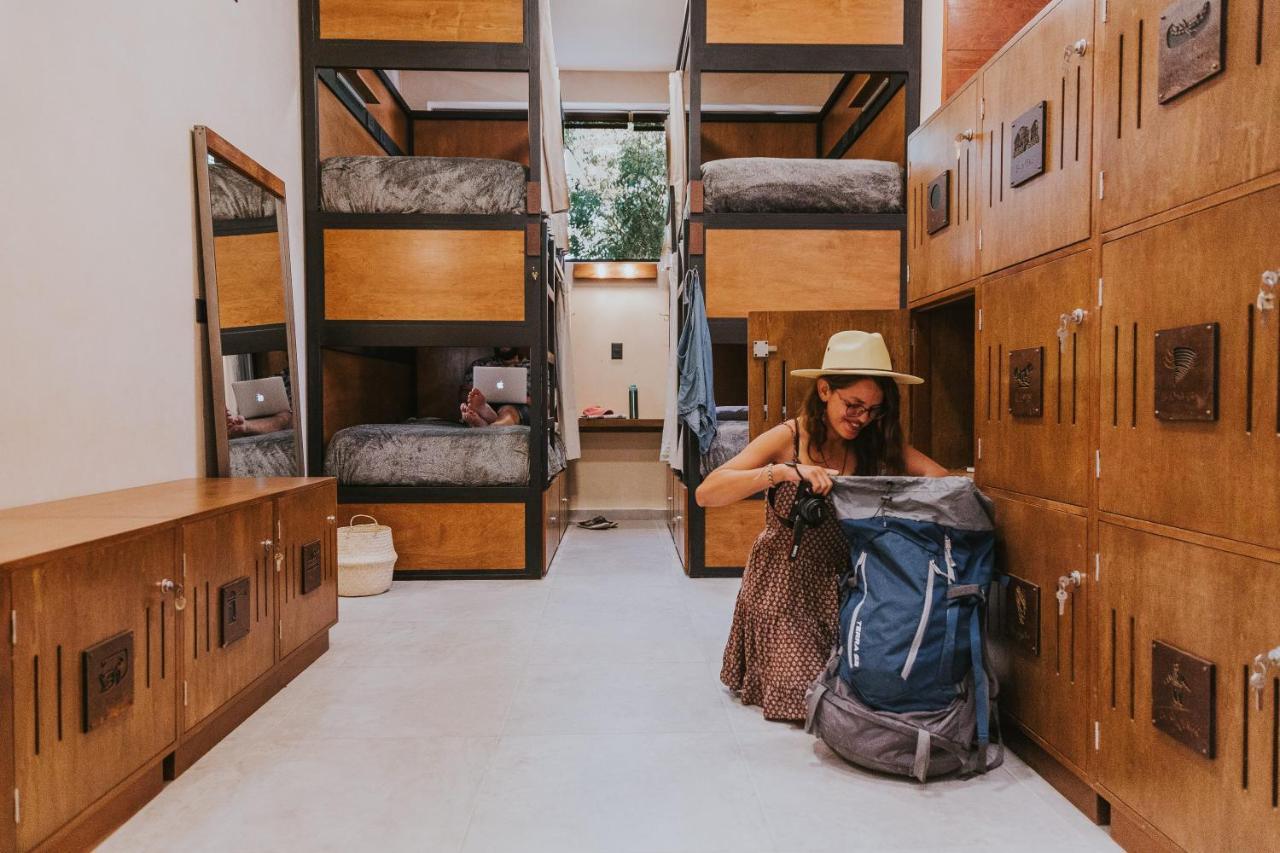 Barrio Vivo Hostel