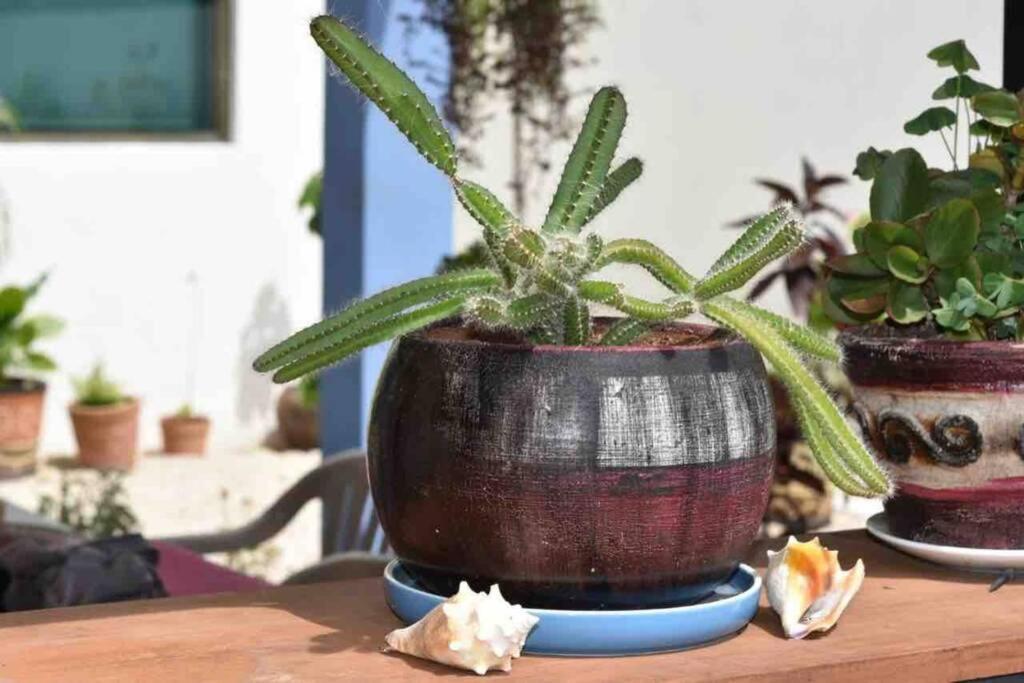 Departamento en “Casa Livia”, piscina y jardín. Mérida