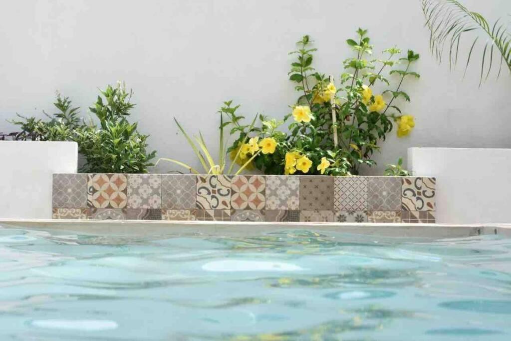 Departamento en “Casa Livia”, piscina y jardín. Apartamento *