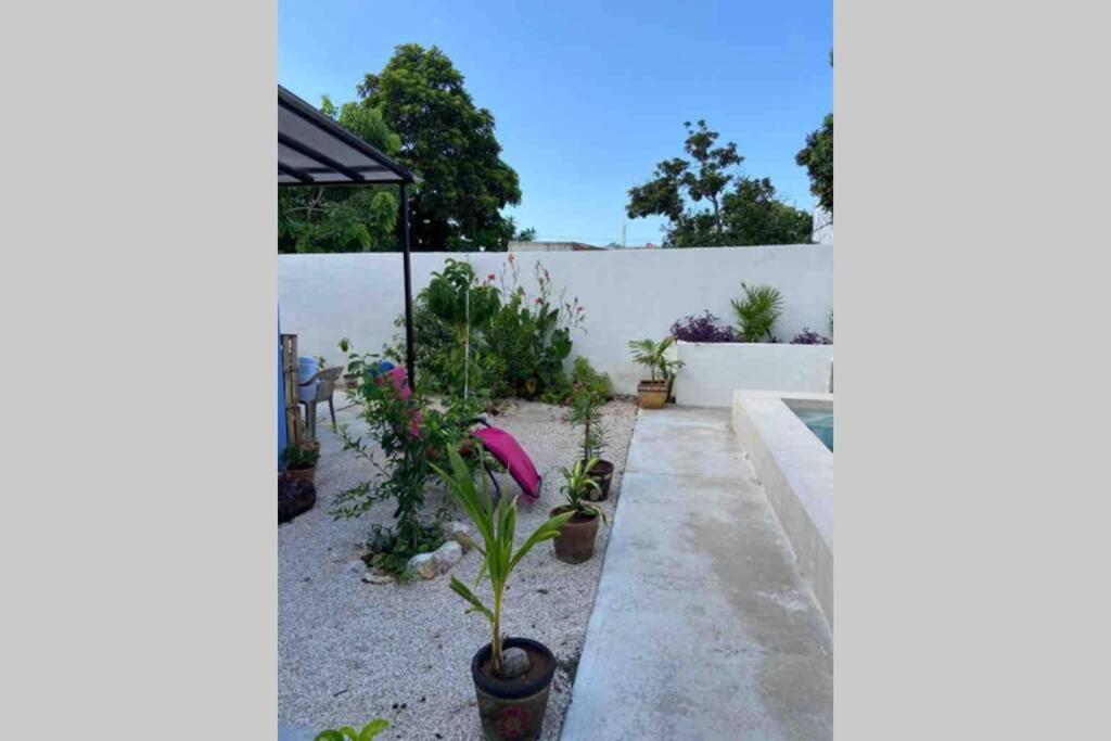 Departamento en “Casa Livia”, piscina y jardín. *