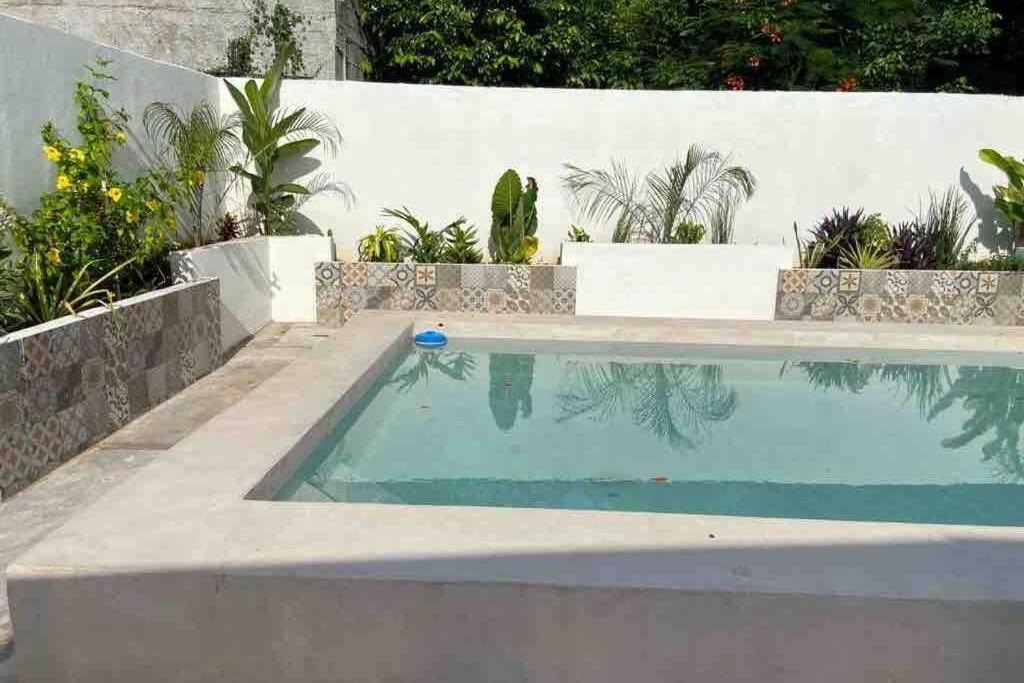 Departamento en “Casa Livia”, piscina y jardín. * Mérida